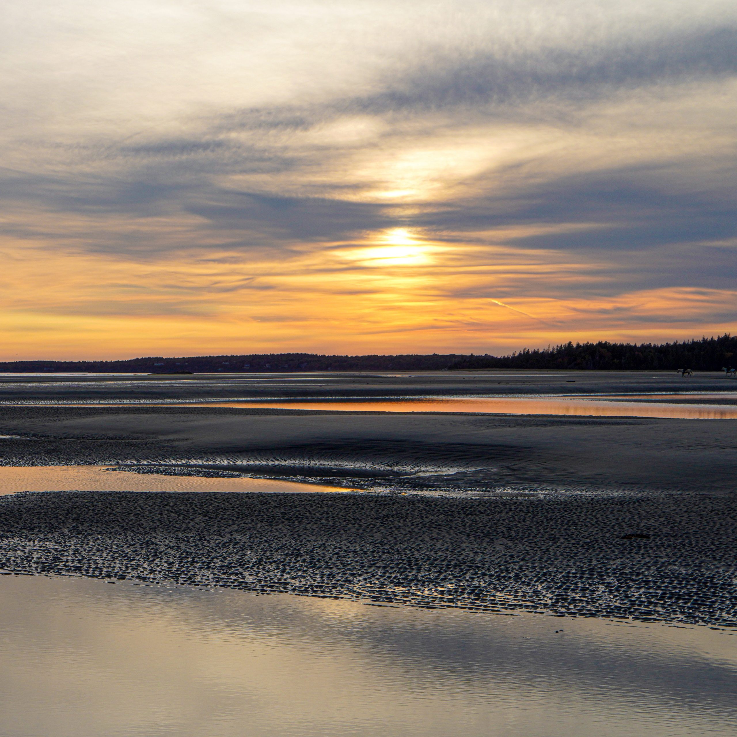 Midcoast Maine