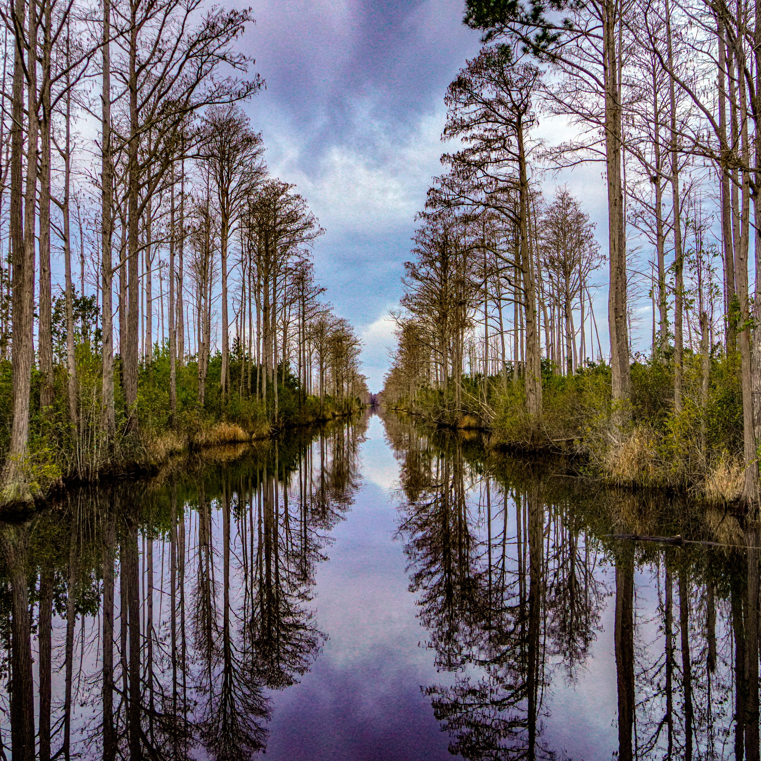 Okefenokee Swamp